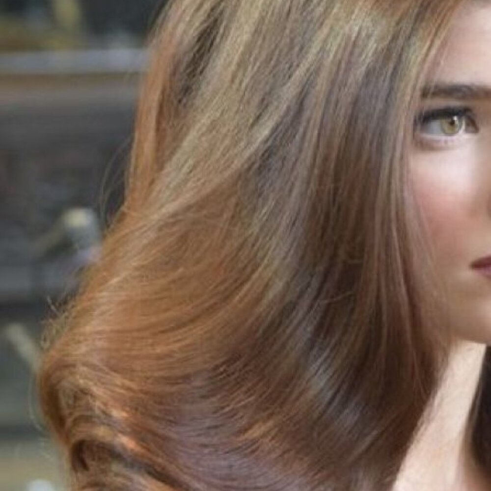 Meet your Posher, Bloxburg